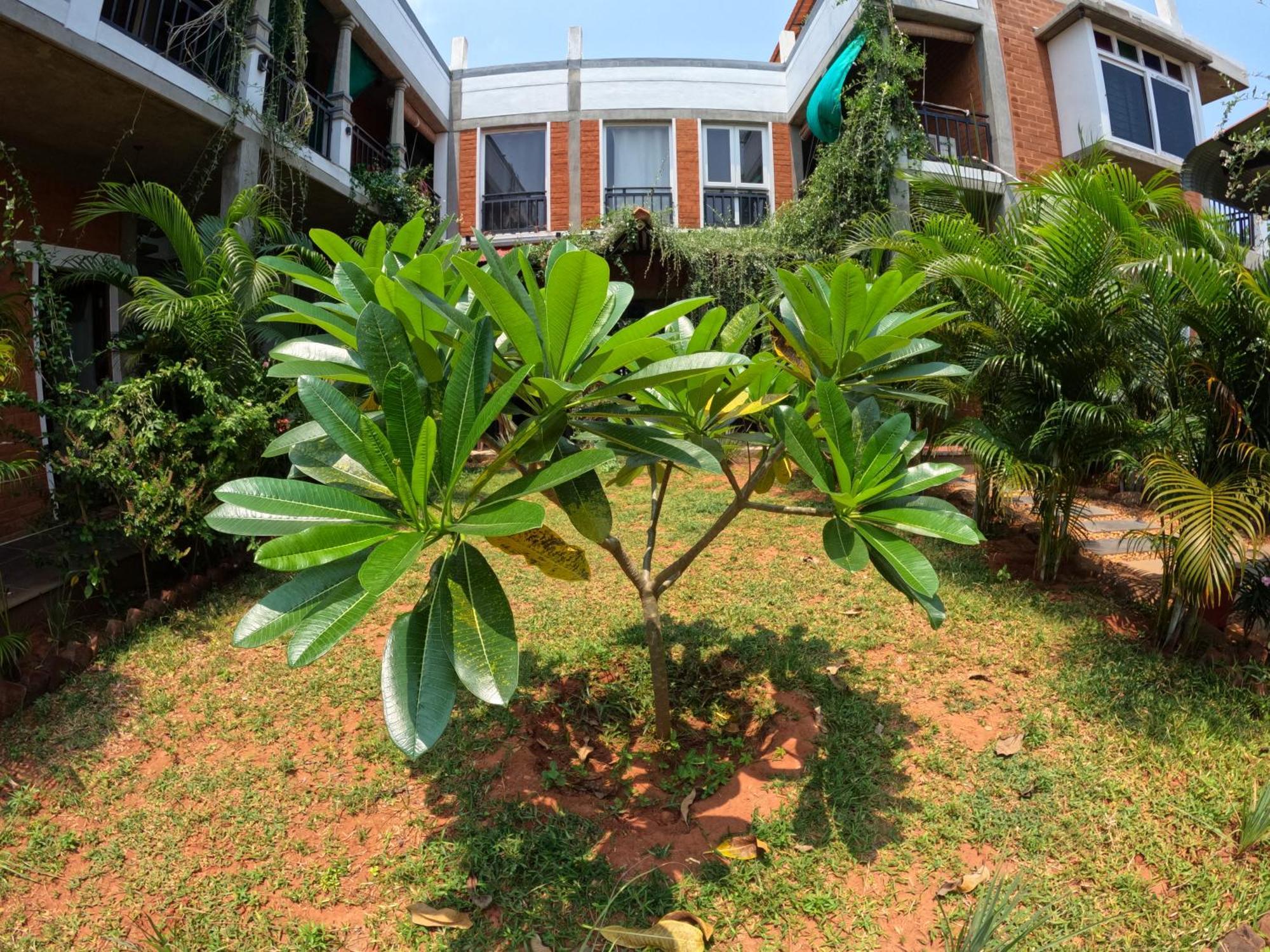 Wow Farm House Auroville Buitenkant foto